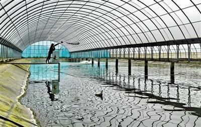 綠色農(nóng)業(yè),迎來發(fā)展新契機